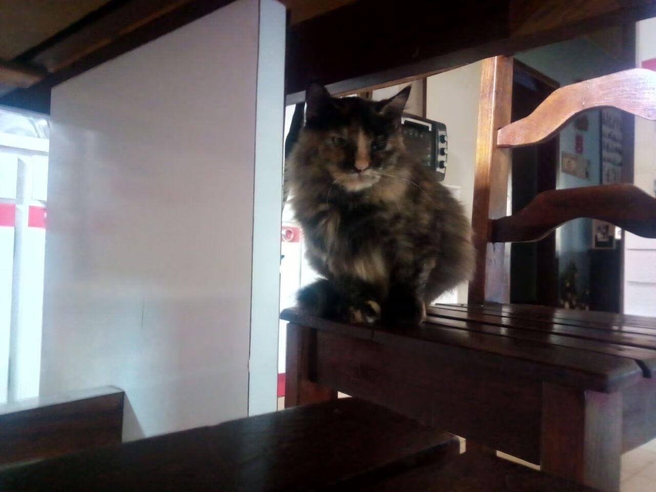 _未来平衡车城市巡游：绿色出行新潮流_，未来平衡车设计