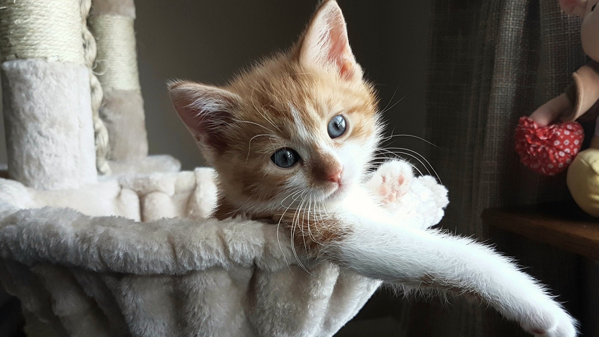 kaiyun官方入口登录-_穿越丛林定向赛：智勇双全的极限挑战_，丛林穿越探险