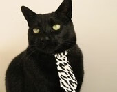 _篮网队核心表现稳定，持续领跑_，篮网队伍