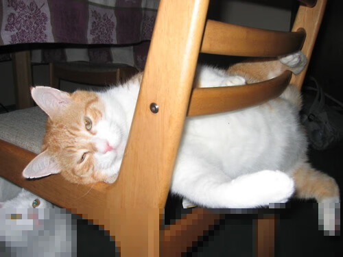 “村超”足球赛事吸引上百万人次到场观战,超5000万人次在线围观