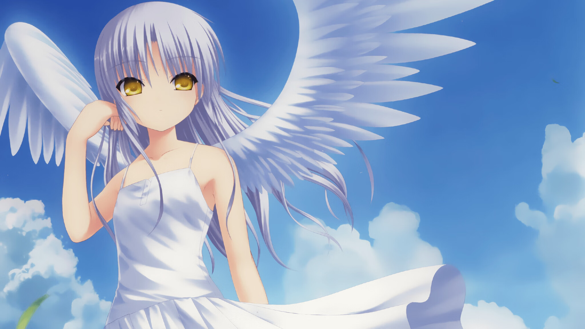 “青春逐梦”公益篮球比赛在河南焦作激烈角逐,河南省青少年篮球比赛