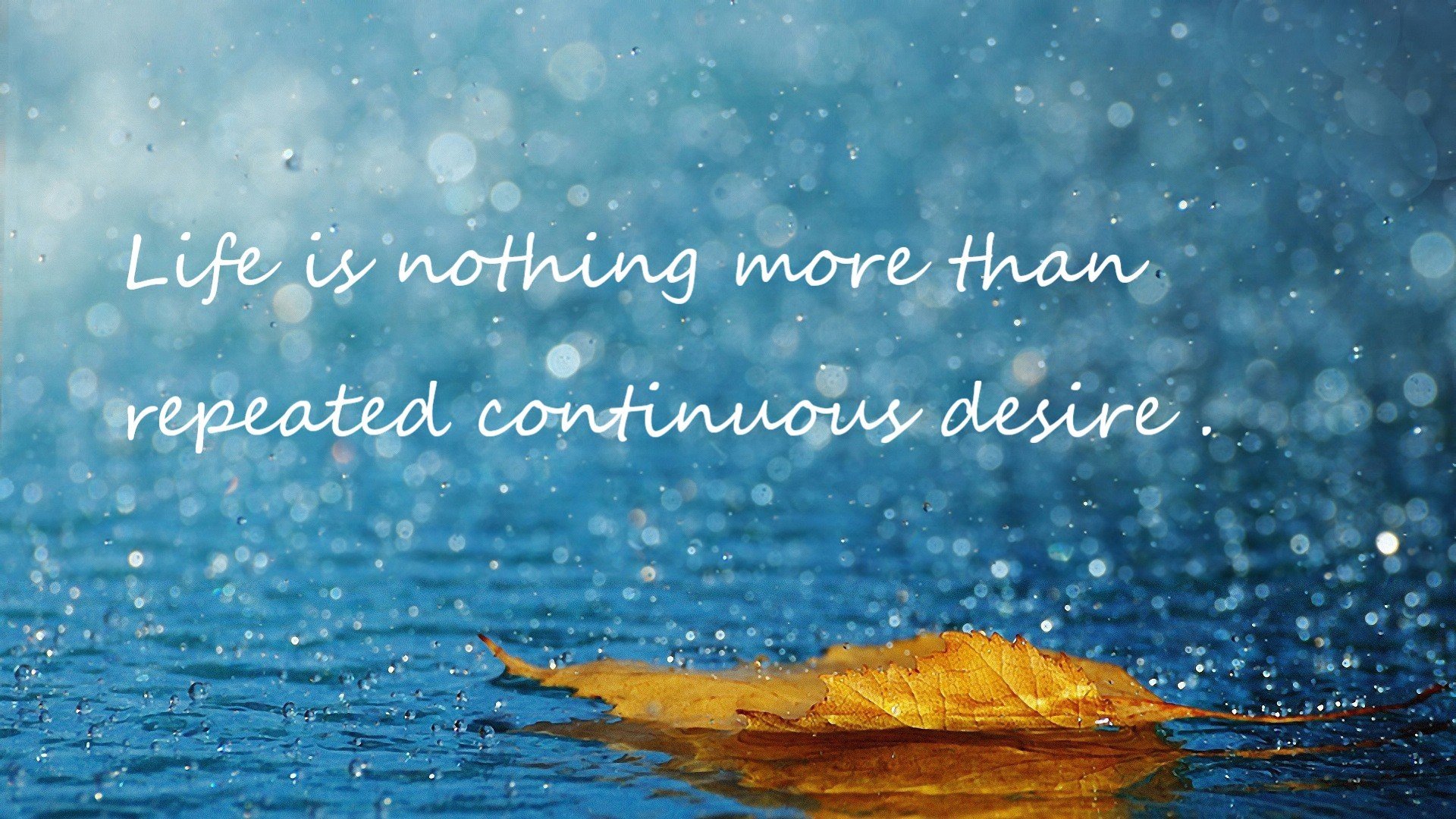 《《英雄联盟》迎来年度大版本更新,新增英雄“曜”全揭密》,英雄联盟新版本介绍