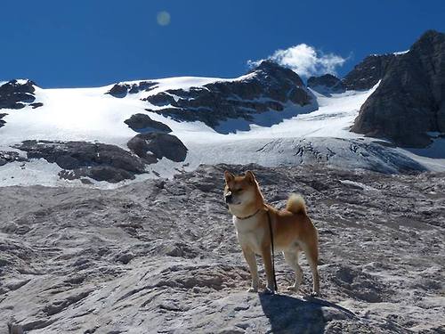 《DOTA2》Ti赛事幕后花絮:选手训练与心理压力的双重考验,dota2ti最经典的比赛