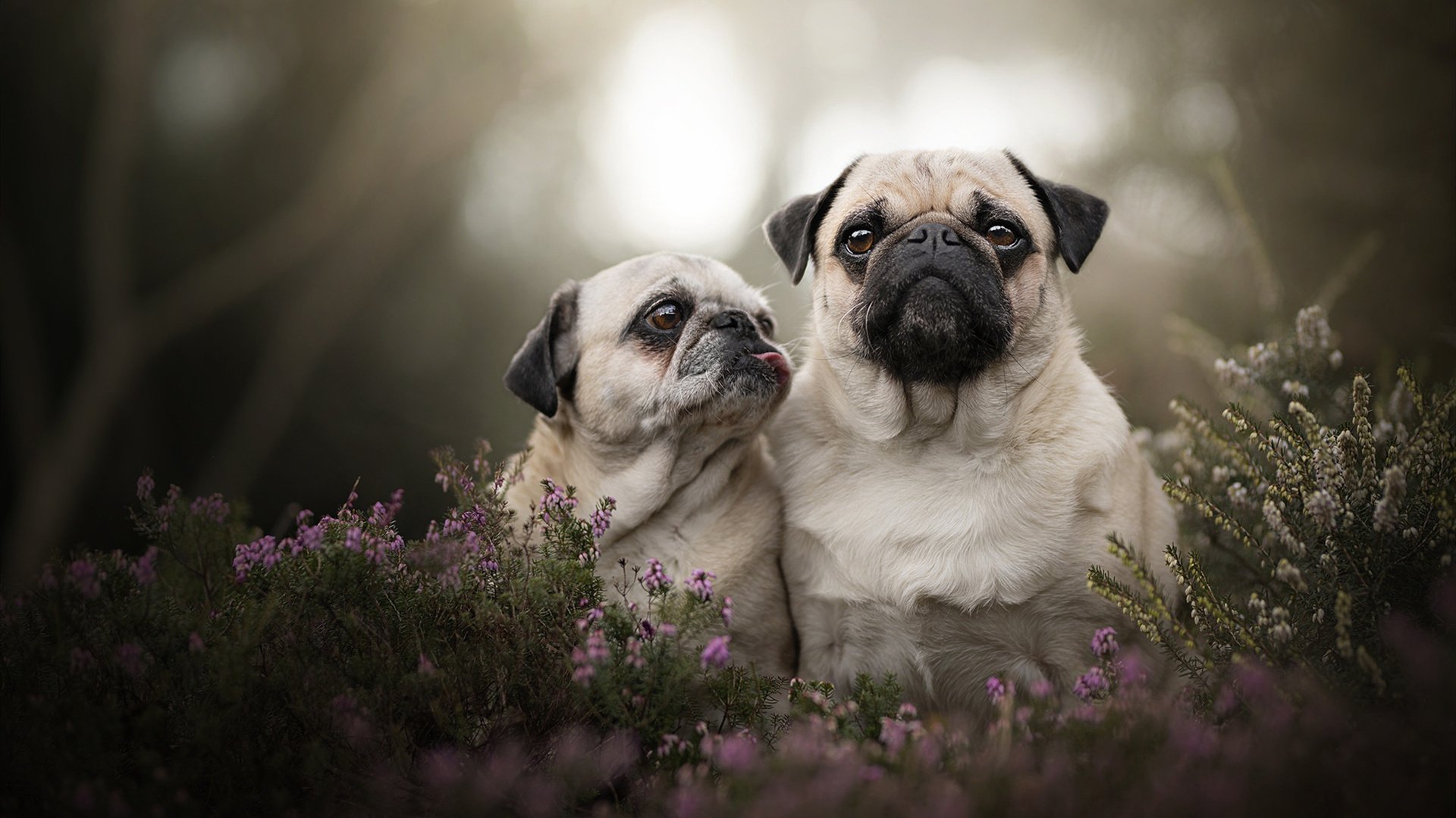 Kaiyun官方登录入口-专业滑板赛，街头文化引领运动潮流，滑板选拔赛