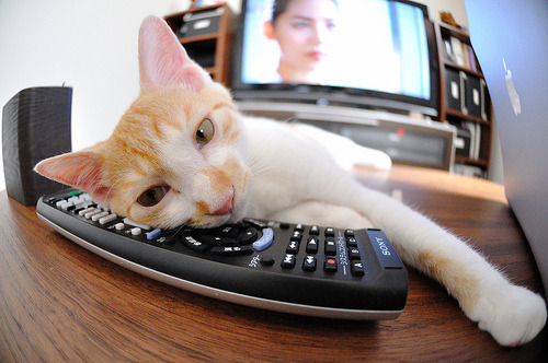 德甲:“黑马”崛起,颠覆传统强队格局,德甲榜首大战