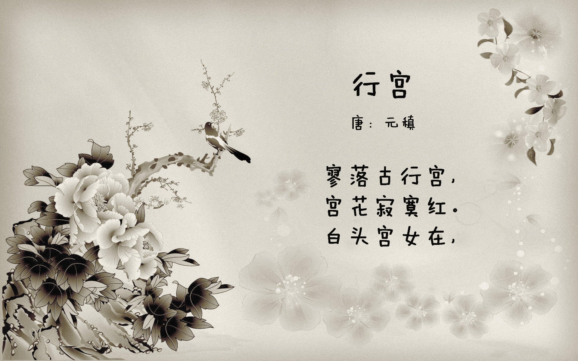 足球明星的平凡日常:他们会做哪些小事?,足球明星有哪一些