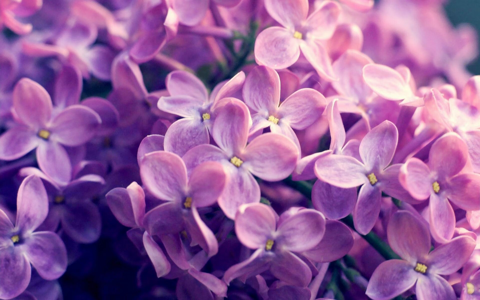 青少年篮球比赛“百城万户”行动全面展开,青少年篮球大赛