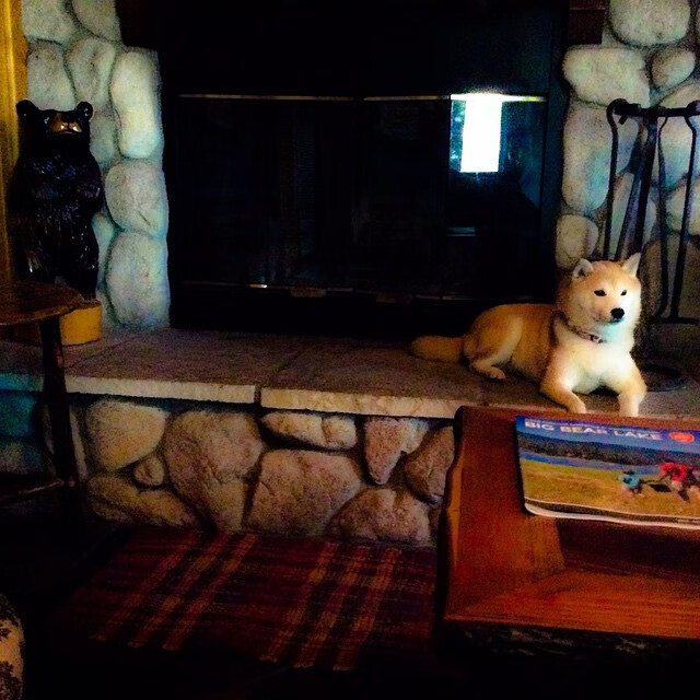 kaiyun.com-勇士队战绩持续攀升，勇士队战况