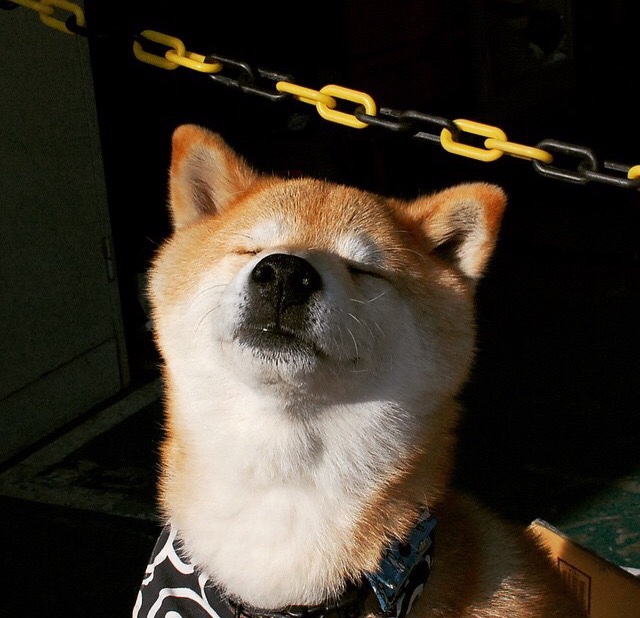 国家篮球联盟战略发展规划,国家篮球协会是什么时候成立的_