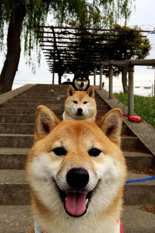 帕尔蒂赞球员发挥核心作用,帕蒂米尔斯 cba