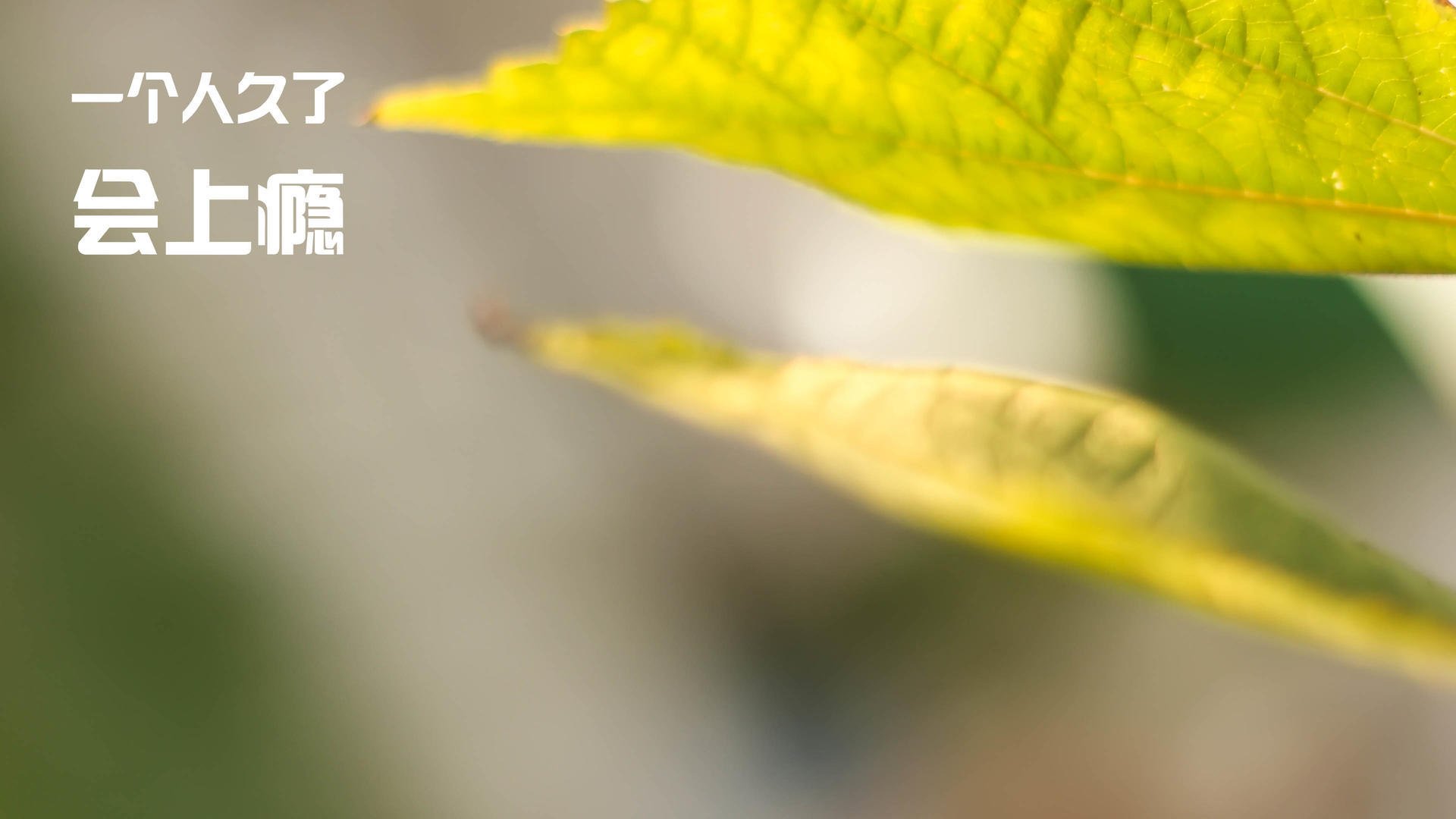 法国主场惨败瑞士,欧锦赛小组出线陷入悬念,欧洲杯法国队对瑞士队