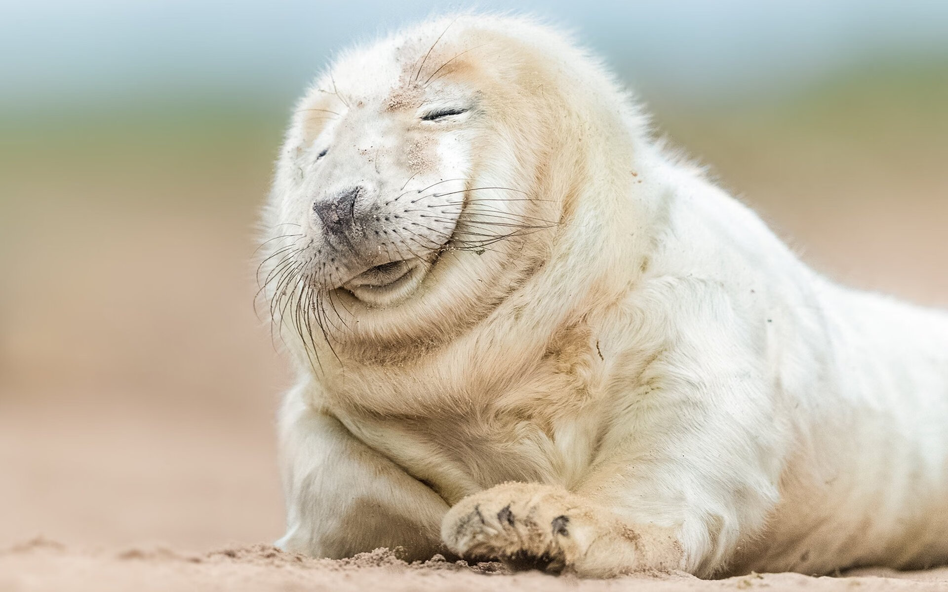 kaiyun官方入口登录-经验老将再掀热血，欧冠赛场传奇续写，欧冠经典瞬间