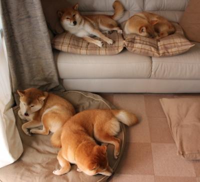 Kaiyun APP-阿森纳在英联杯中击败利物浦晋级决赛，2021年英超阿森纳vs利物浦