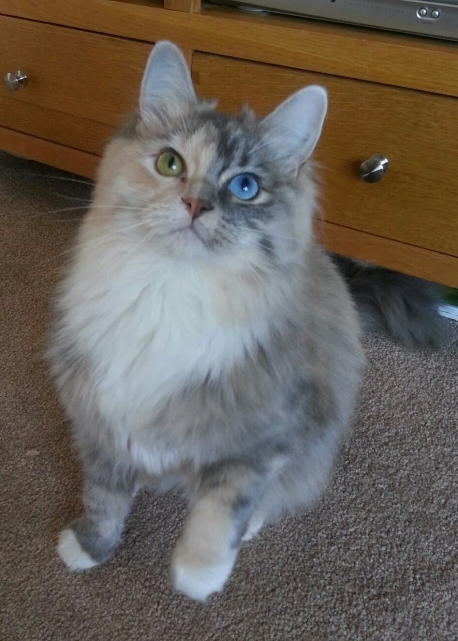 kaiyun官方入口登录-黄蜂队球队团队协作明显加强，黄蜂队人员