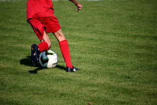 开云·体育官网-中国篮球教练员战术执行能力评估体系，中国篮球教练员培训等级