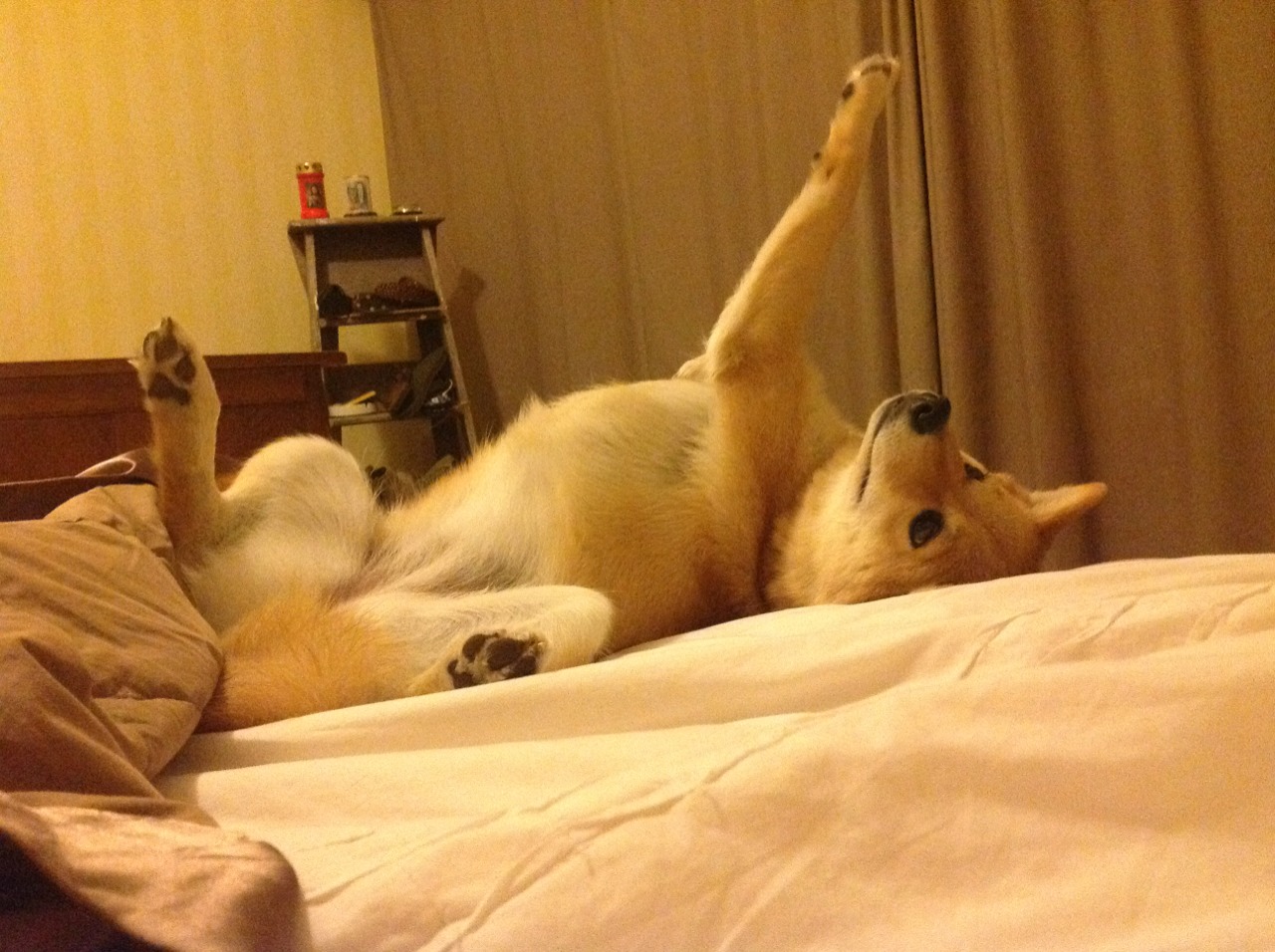 篮球专项技术动作中的动作效能分析,篮球的专项技术动作名称及方法