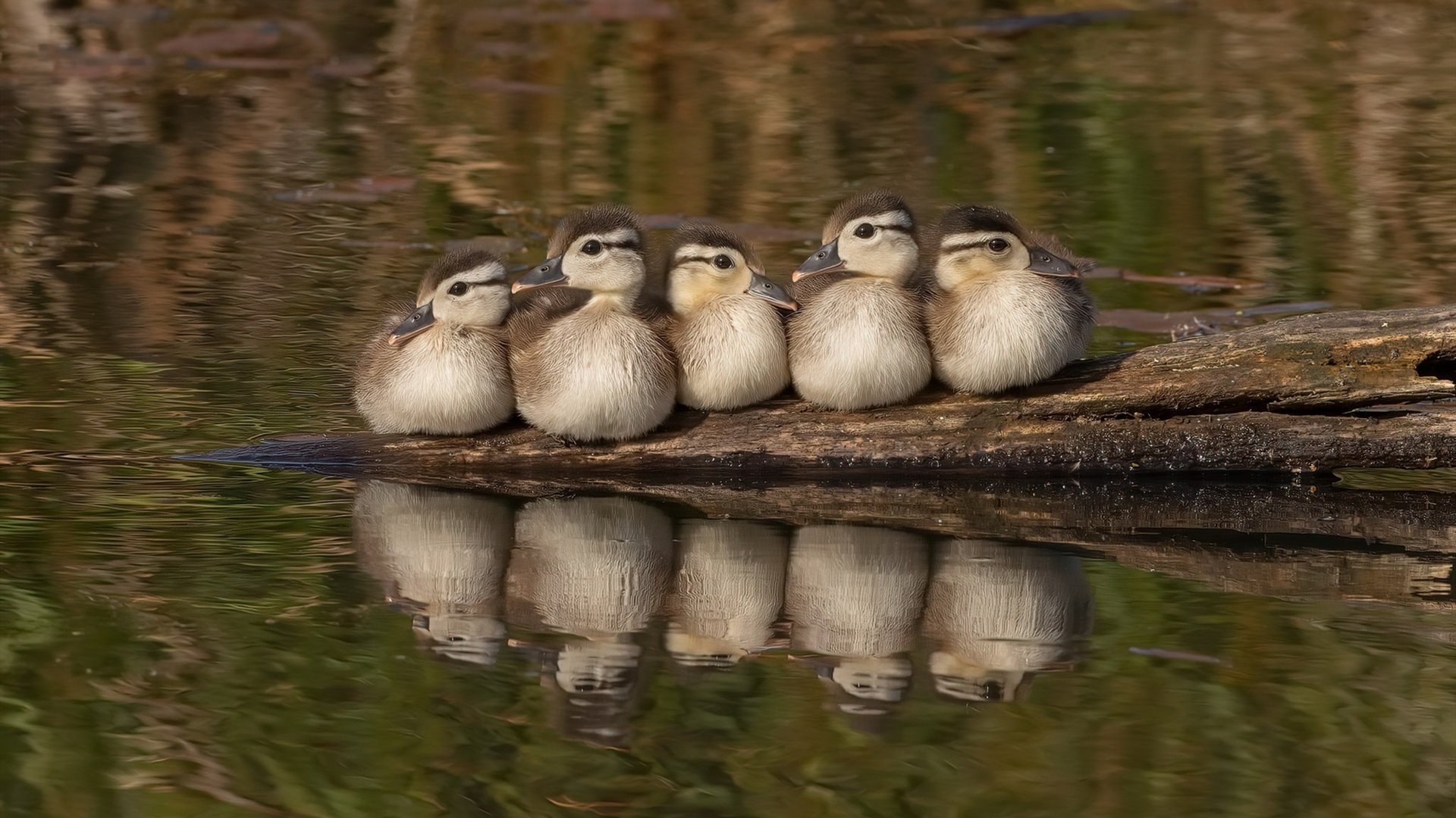 开云·Kaiyun网页版-“高新体育中心网球赛：选手拼尽全力，赛场气氛爆棚”