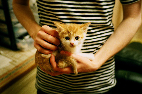 体育新闻中心推动青少年体育内容创新传播计划,体育类新闻报道