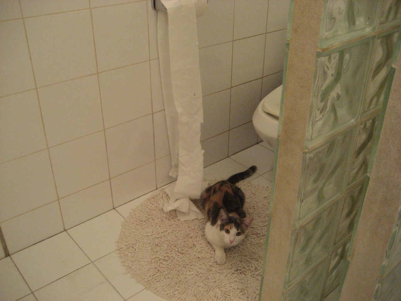 kaiyun体育app-多特蒙德主场氛围火热激发全队斗志，多特蒙德主场照片