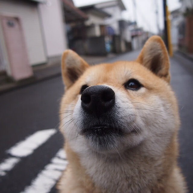 校园足球考核体系过于形式化,我国校园足球训练存在的问题