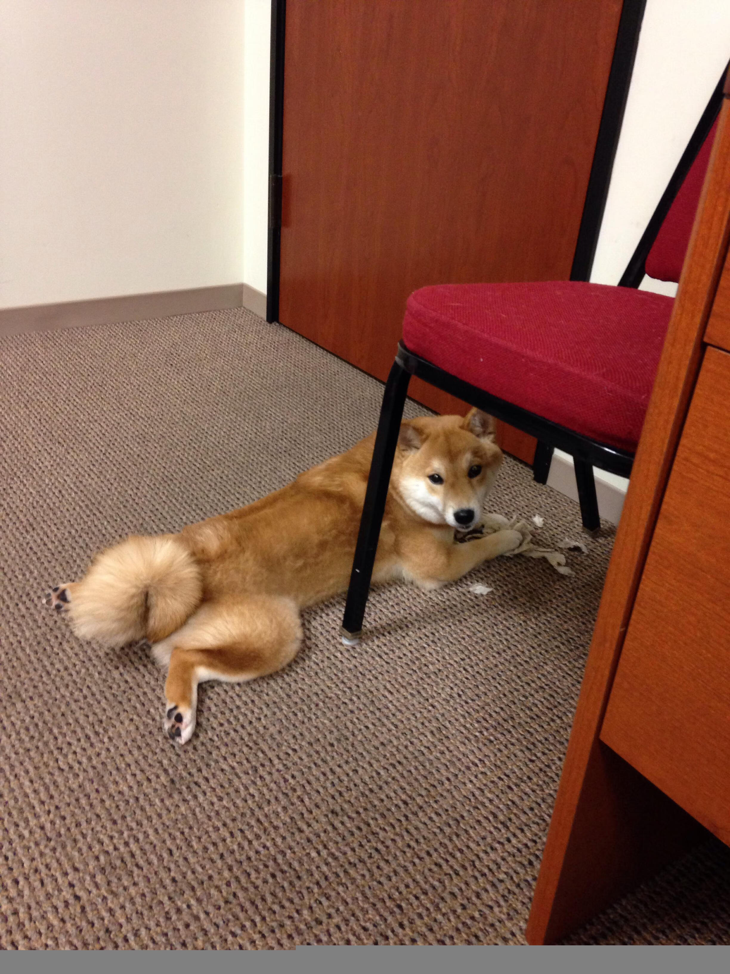 球员暑期转会动向频繁,多国俱乐部积极争抢核心人才,2021球员转会